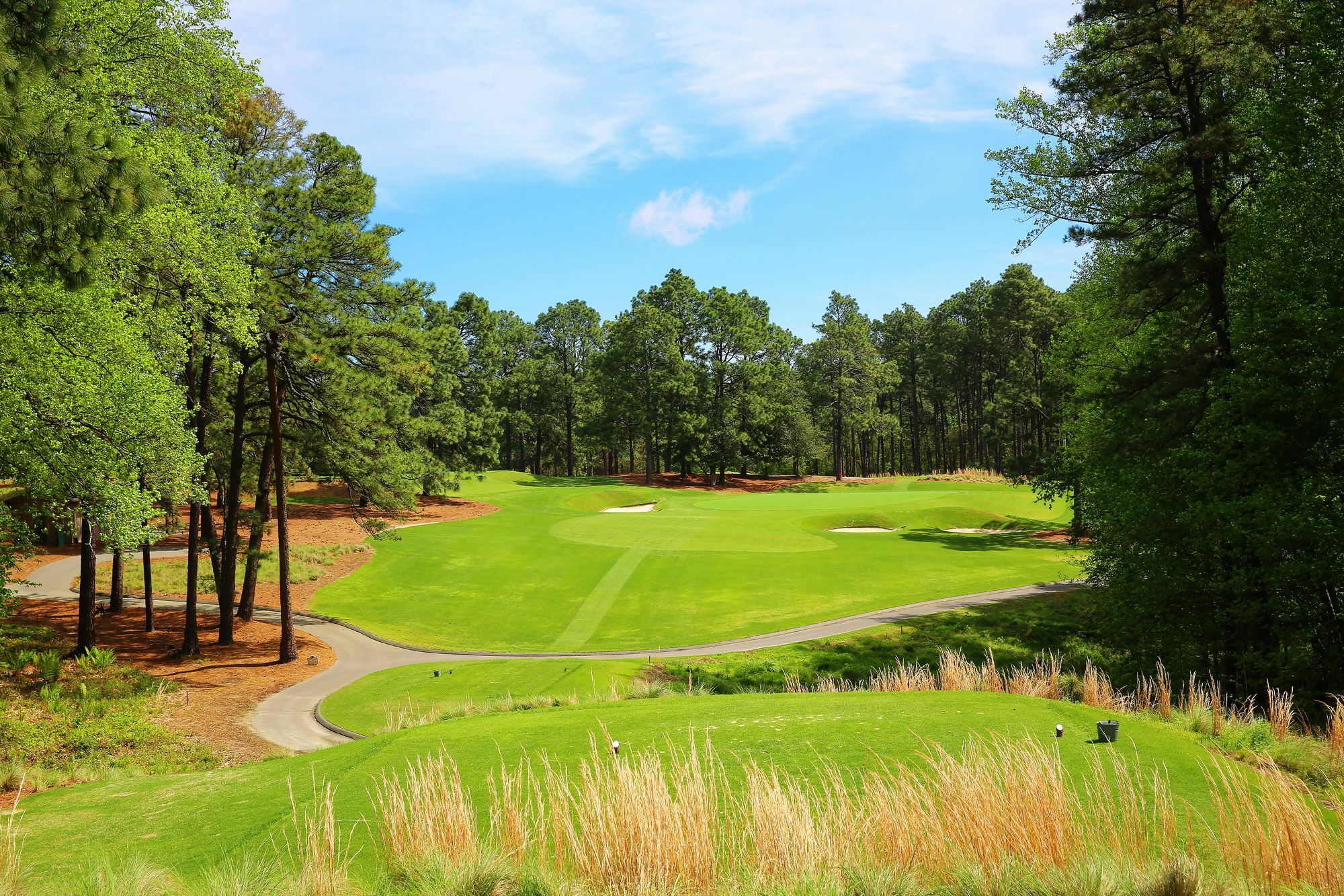 Pine Needles Lodge & Golf Club Саутерн Пайнс Экстерьер фото